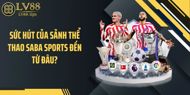 Sức hút của sảnh thể thao Saba Sports đến từ đâu?